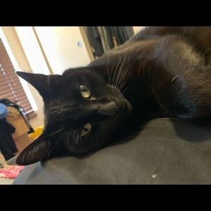 Meet your Posher, Dana